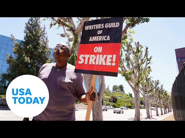 SAG-AFTRA picketers slam trimmed trees outside Universal Studios | USA TODAY