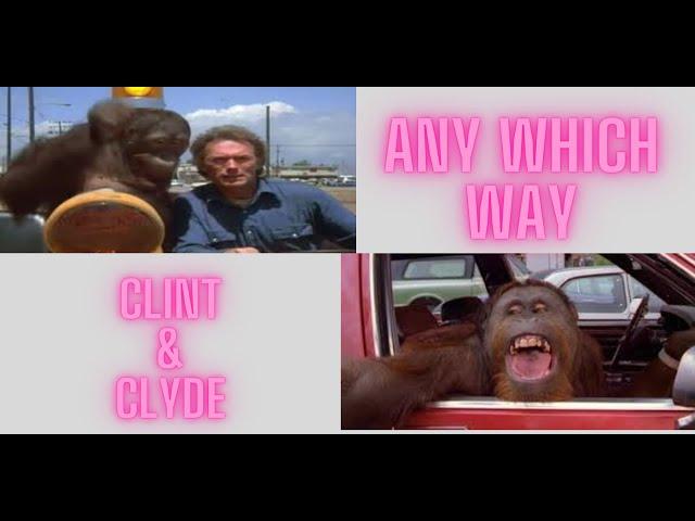 Every Which Way Clint & Clyde