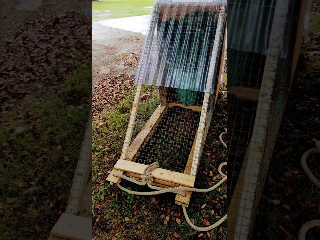 DIY Chicken Tractor For Sneaky Chicken & Her Chicks