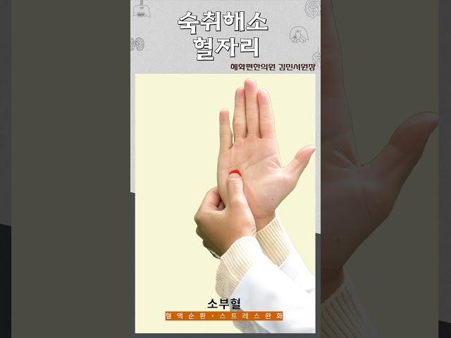 숙취해소 혈자리!