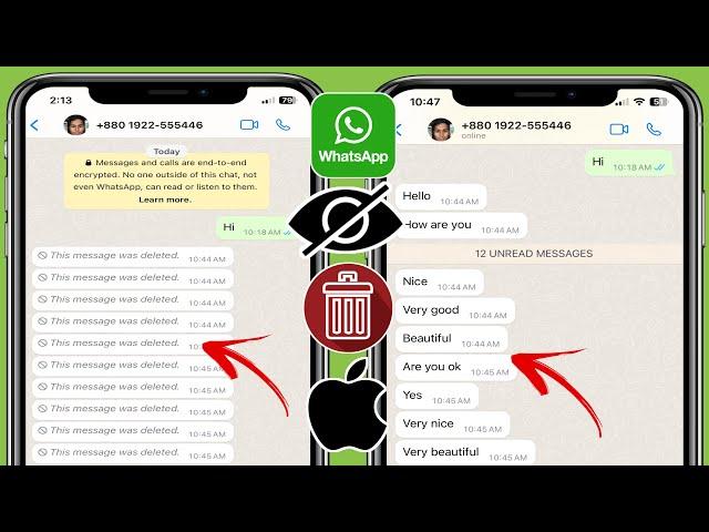 Como ver mensagens excluídas do WhatsApp no ​​​​iPhone |  Recuperar mensagens excluídas do WhatsApp