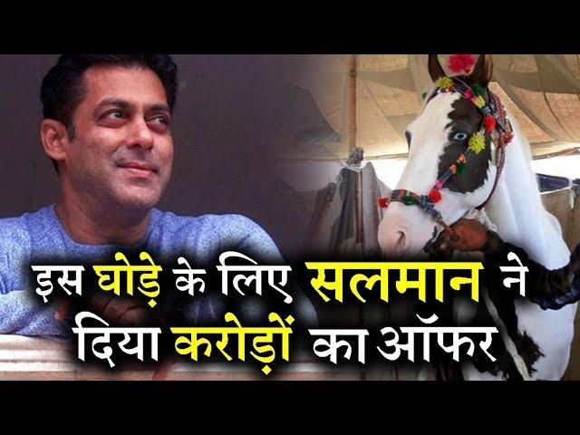 Why Salman Khan is Desperate to Buy This HORSE ?