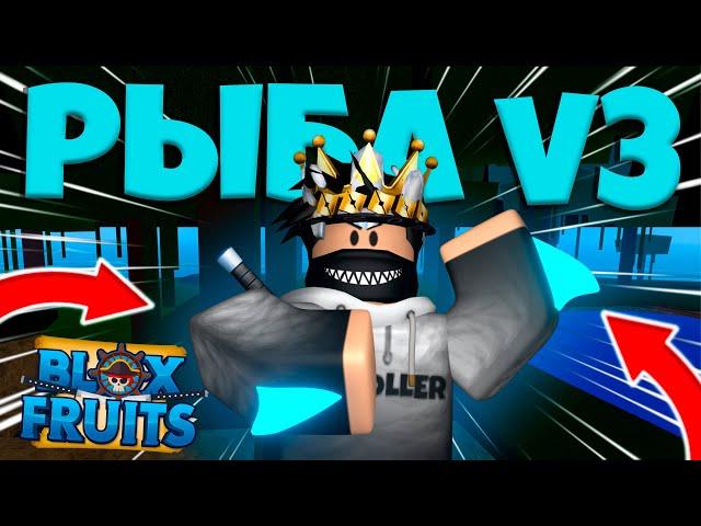 ПОЛУЧИЛ V3 РАСУ РЫБЫ ЧЕЛОВЕКА В БЛОКС ФРУТС РОБЛОКС! | BLOX FRUITS ROBLOX!