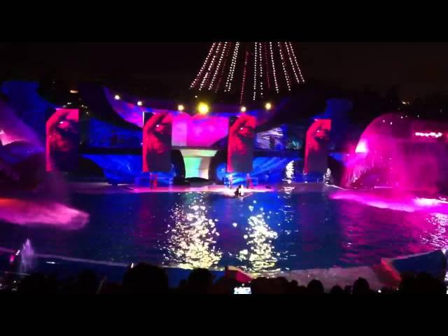 Sea World San Diego, Killer Whales night show part #2