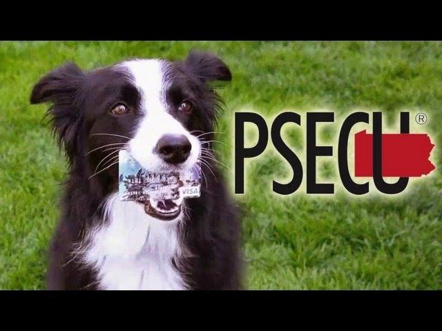 PSECU Visa Commercial with Nana the Border Collie