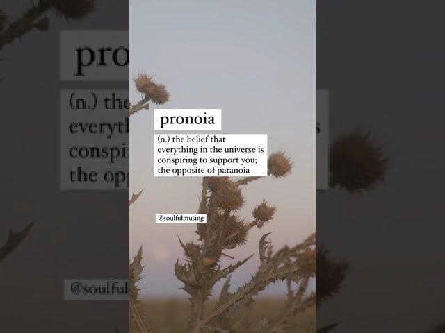 Aesthetic and beautiful words: Pronoia