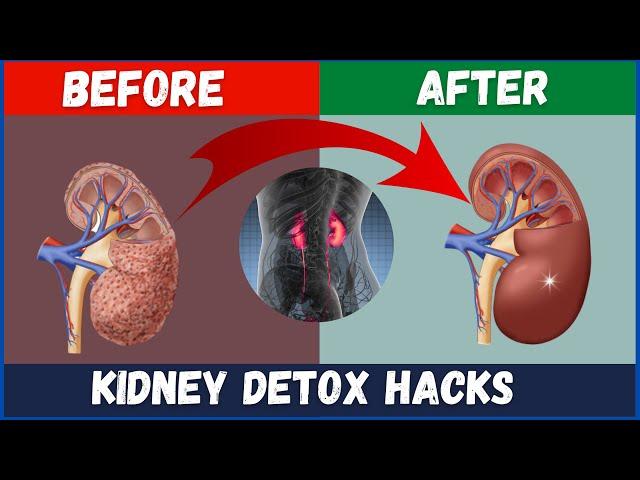 Top 10 Foods to Detox Your Kidneys