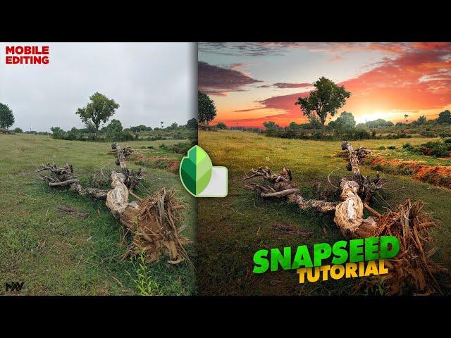 Make Your Mobile Pictures go Viral with These Editing Tricks | Snapseed Tutorial | Android | iPhone