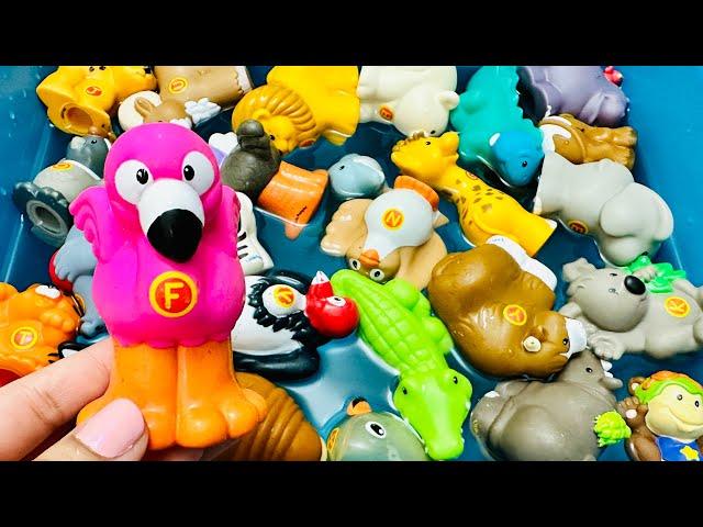 A to Z Animals Name, Animals for kids, Sea Animals, Zoo/ wild, Farm Animals, sea creatures for kids