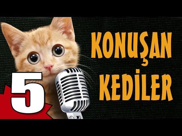 Konuşan Kediler 5 - En Komik Kedi Videoları