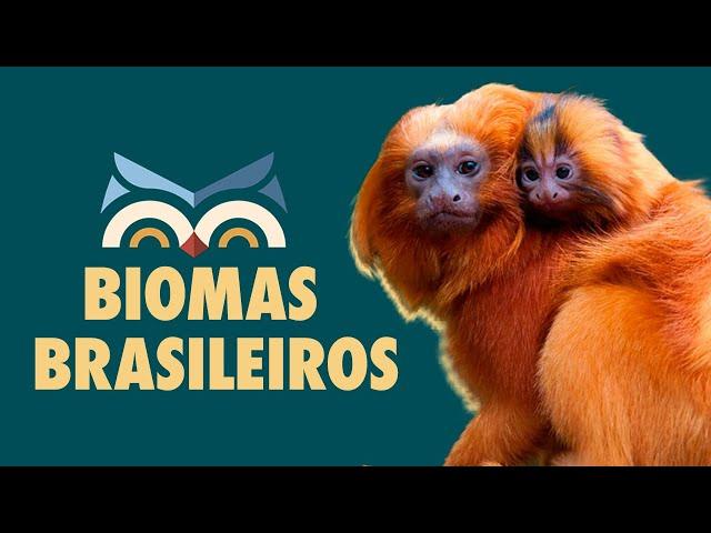 Biomas Brasileiros  - Toda Matéria