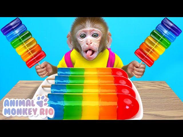 Monkey Rio make delicious Rainbow Jelly with ducklings in the swimming pool | Animal Monkey Rio