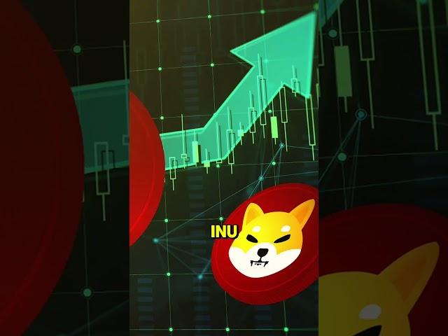 PLAN TO GET RICH WITH SHIBA INU COIN! #shibainucoin #shiba #shib