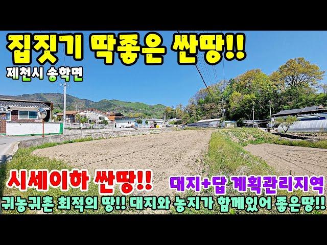 805. 집짓기 딱좋은 싼땅!! 귀농귀촌 최적지 제천시 송학면 집터 제천부동산 제천토지매매 전원주택 주택매매 시골집급매 촌집매매