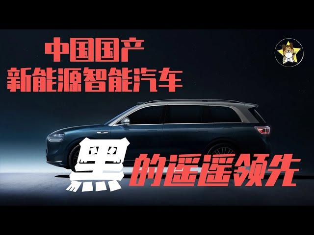 中国国产新能源先进汽车，黑的遥遥领先！【狗哥特别奉献】