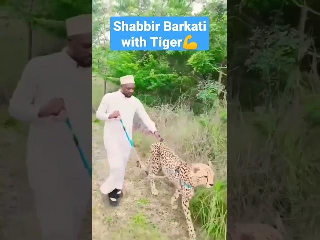 shabbir barkati with tiger#naatsharif