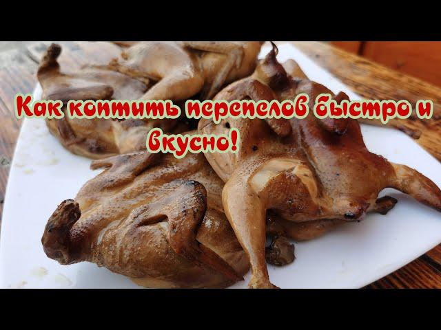 Копченые перепела, вкусно и бытро!