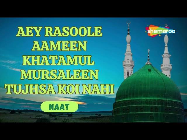 Aey Rasool E Ameen | Tujsa Koi Nahi  | Mohammad Shariq | Naat Shariff 2024 | Shemaroo Ibaadat