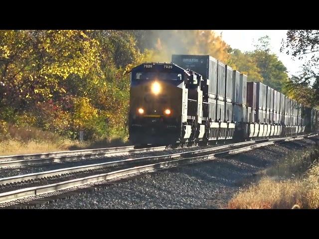 CSX MOW Train Parade! Seaboard Heritage Unit! Amtrak Heritage Unit! CP Heritage Unit! + More Trains!