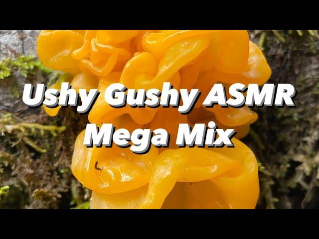 Ushy Gushy Mega-Mix Jelly Mushroom ASMR Compilation