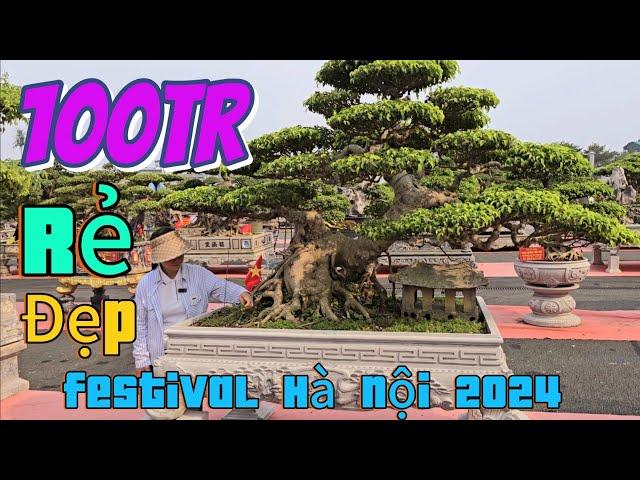 Giá hợp lý  giật mình tại triển lãm festival Hà Nội 2024