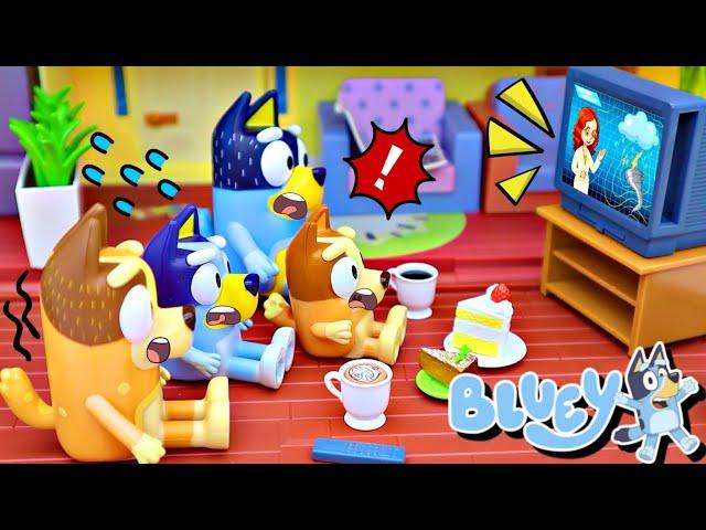 BLUEY Toy's Tough Storm Adventure: How Did They Weather The Big Storm? - Learning Videos For Kids!