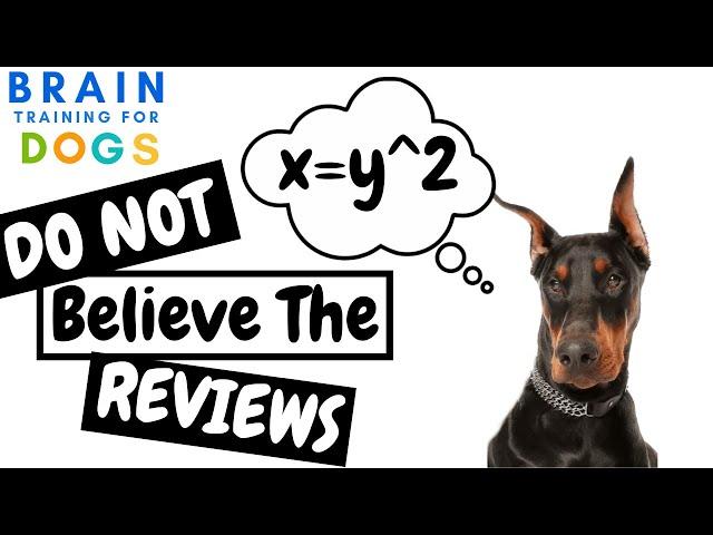 Brain Training For Dogs - DO NOT TRUST The Reviews