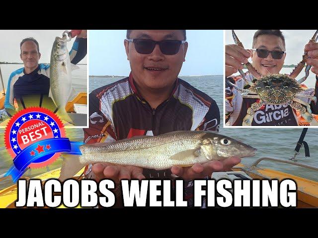 JACOBS WELL BOAT HIRE AND FISHING - PB WHITING