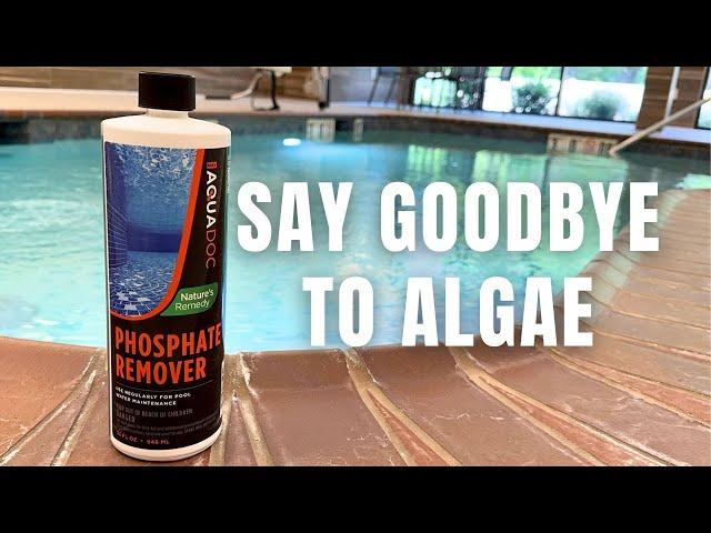 Get Rid of Algae From Your Swimming Pool With This Phosphate Remover | AquaDoc