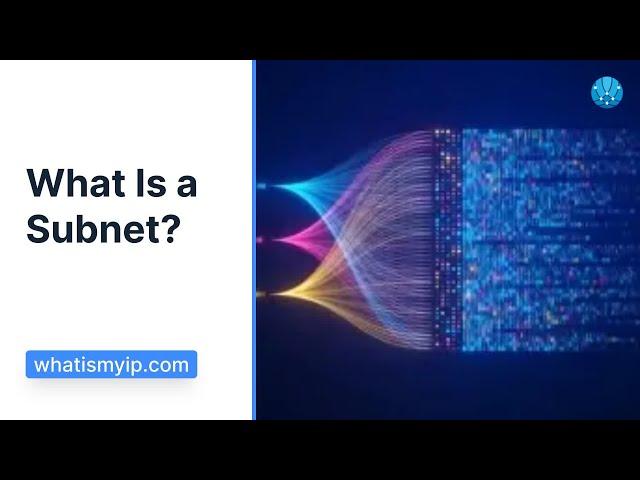 What Is a Subnet?