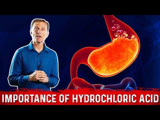 The Importance of Hydrochloric acid (HCL) in the Stomach – Dr. Berg