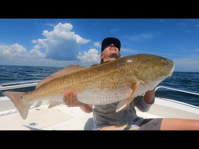 I LOST MY BIGGEST COBIA EVER IN THIS SCHOOL OF GIANT BULL REDFISH