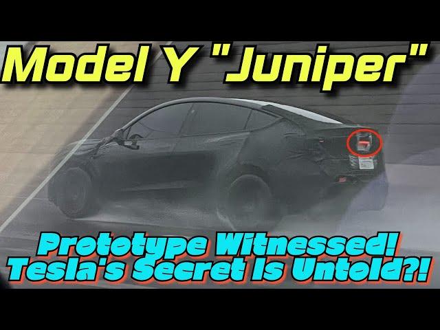 Model Y "Juniper" Prototype Witnessed! Tesla's Secret Is Untold?!