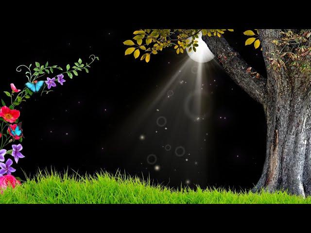 Beautiful Nature Background Video Effects HD | Moon Light Effect | Template Video Background