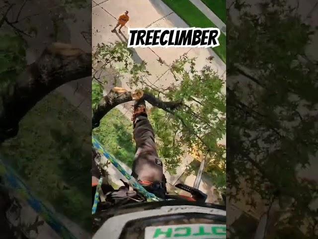 When i learned feet can come in handy #onthisday #treework #tree #rigging #climber #climberlife