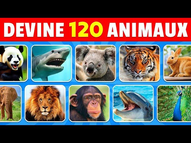 Devine 120 ANIMAUX en 3 secondes | FACILE à IMPOSSIBLE