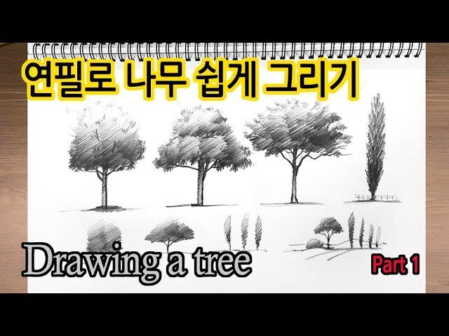 티노씨드로잉 [8강] 나무 그리기 New Pencil Scenery Sketch Part1_Drawing Trees1#WithMe#StayHome#집에서함께그림그려요