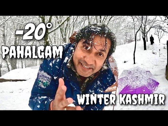 -20° Pahalgam ️ Heavy Snowfall | Winter Kashmir 2023 | Srinagar to Pahalgam | Pahalgam Kashmir Vlog