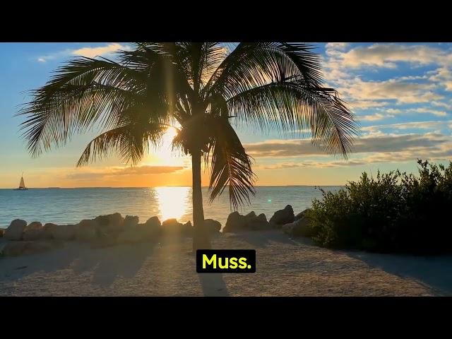 Die schönsten Strände an der französischen Riviera Küste in Süd Frankreich