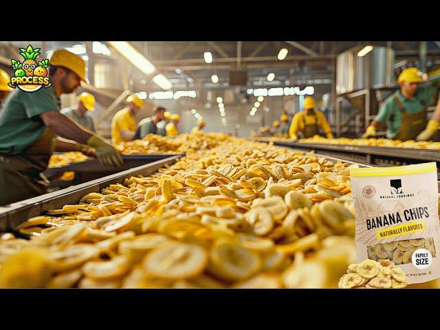 Banana Chips Mega Factory: Processing Millions of Bananas with Modern Technology