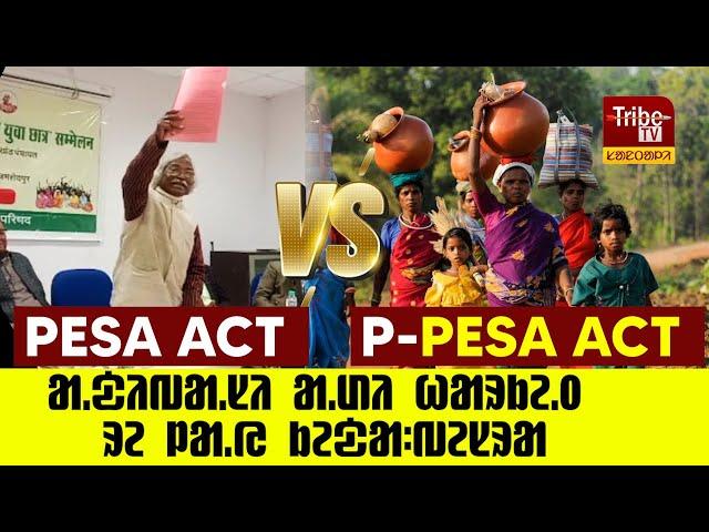 SURYA SINGH BESRA : PESA ACT VS P-PESA ACT || ᱟ.ᱫᱤᱵᱟ.ᱥᱤ ᱟ.ᱰᱤ ᱦᱟᱨᱠᱮ.ᱛ ᱨᱮ ᱞᱟ.ᱭ ᱠᱮᱫᱟᱺ ᱥᱩᱨᱡᱚ ᱥᱤᱝ ᱵᱮᱥᱨᱟ