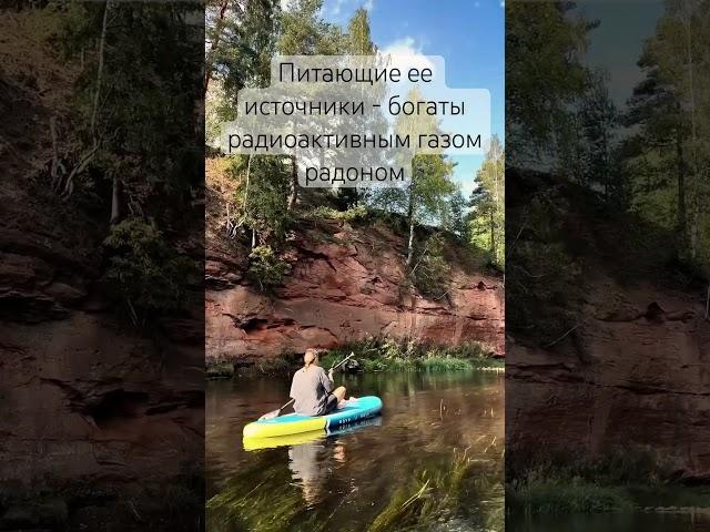 Радиоактивная река под Санкт-Петербургом