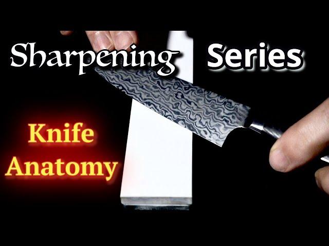 Basic Knife Anatomy