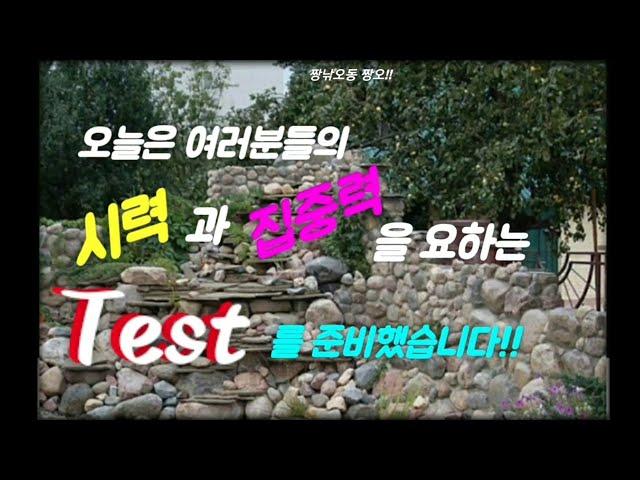 짱낚오동 짱오!! 오늘은 여러분들의 시력과 집중력 테스트(test) 입니다~