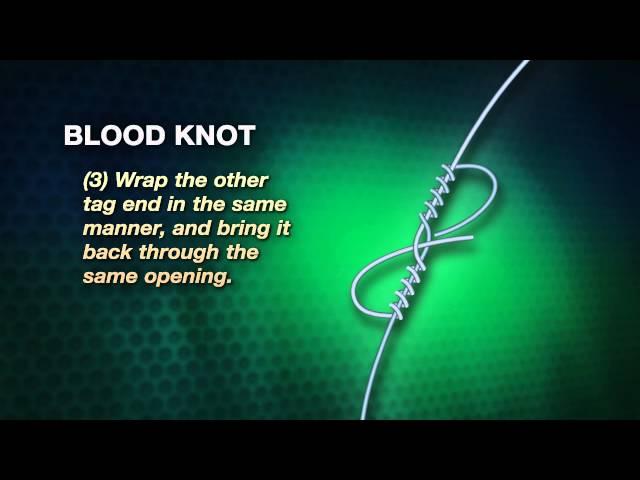 Blood Knot | How-to Knot Series