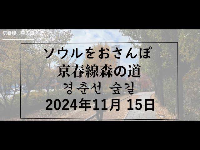 【韓国/한국】ソウルをおさんぽ　vol.291 2024.11.15　京春線森の道編