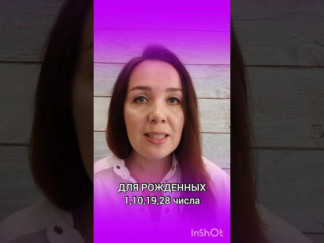 #датарождения #цифроваяпсихология #обучение #сыктывкар