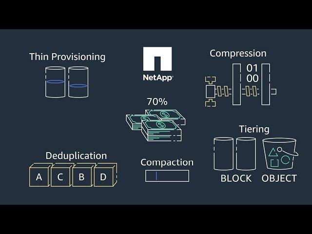 Data Management Services from NetApp Cloud Volumes ONTAP for AWS