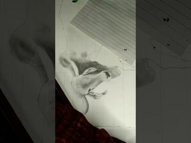 I am making a drowing for cow short video part  4