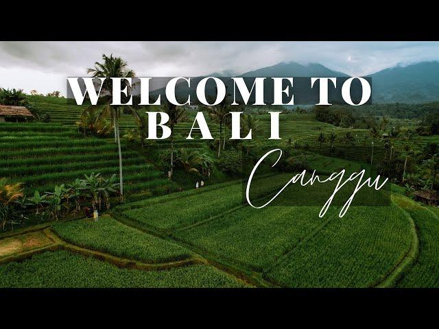 Canggu Bali - Things to do in 2024!